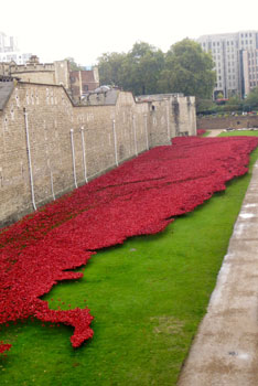 A sea of poppies at The Tower of London.