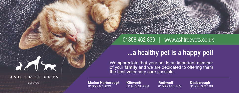 Ash Tree Vets
