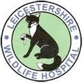 Leics Wildlife Hospital October