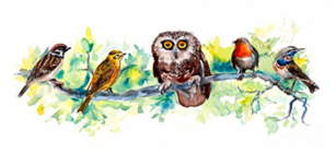 Great Glen Gardening Club, Wild Birds talk