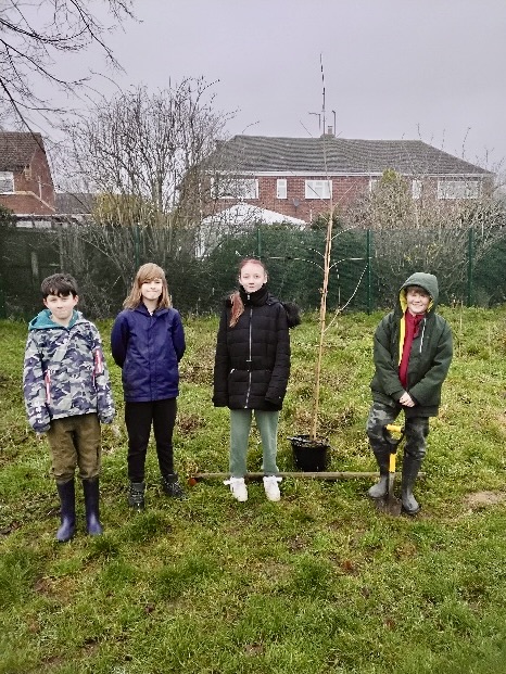 Kibworth Primary School Woodland